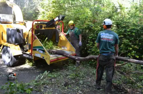 tree services Oak Creek